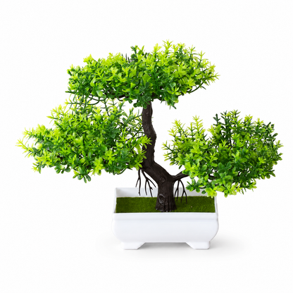 Plants Decoration