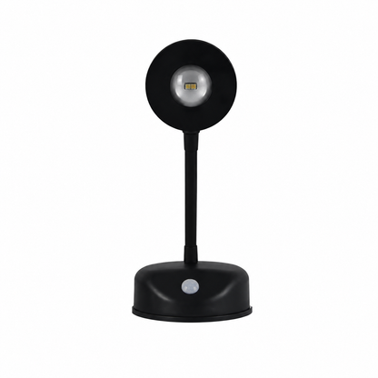 Rechargeable Motion Sensor Spotlight