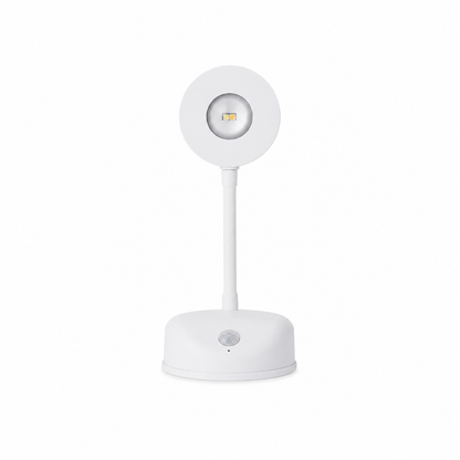 Rechargeable Motion Sensor Spotlight