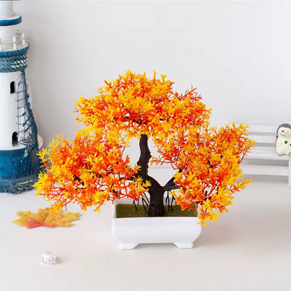 Plants Decoration