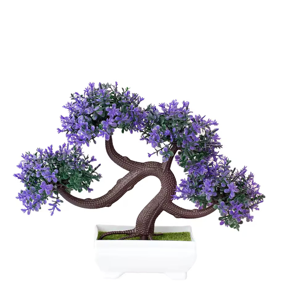 Plants Decoration